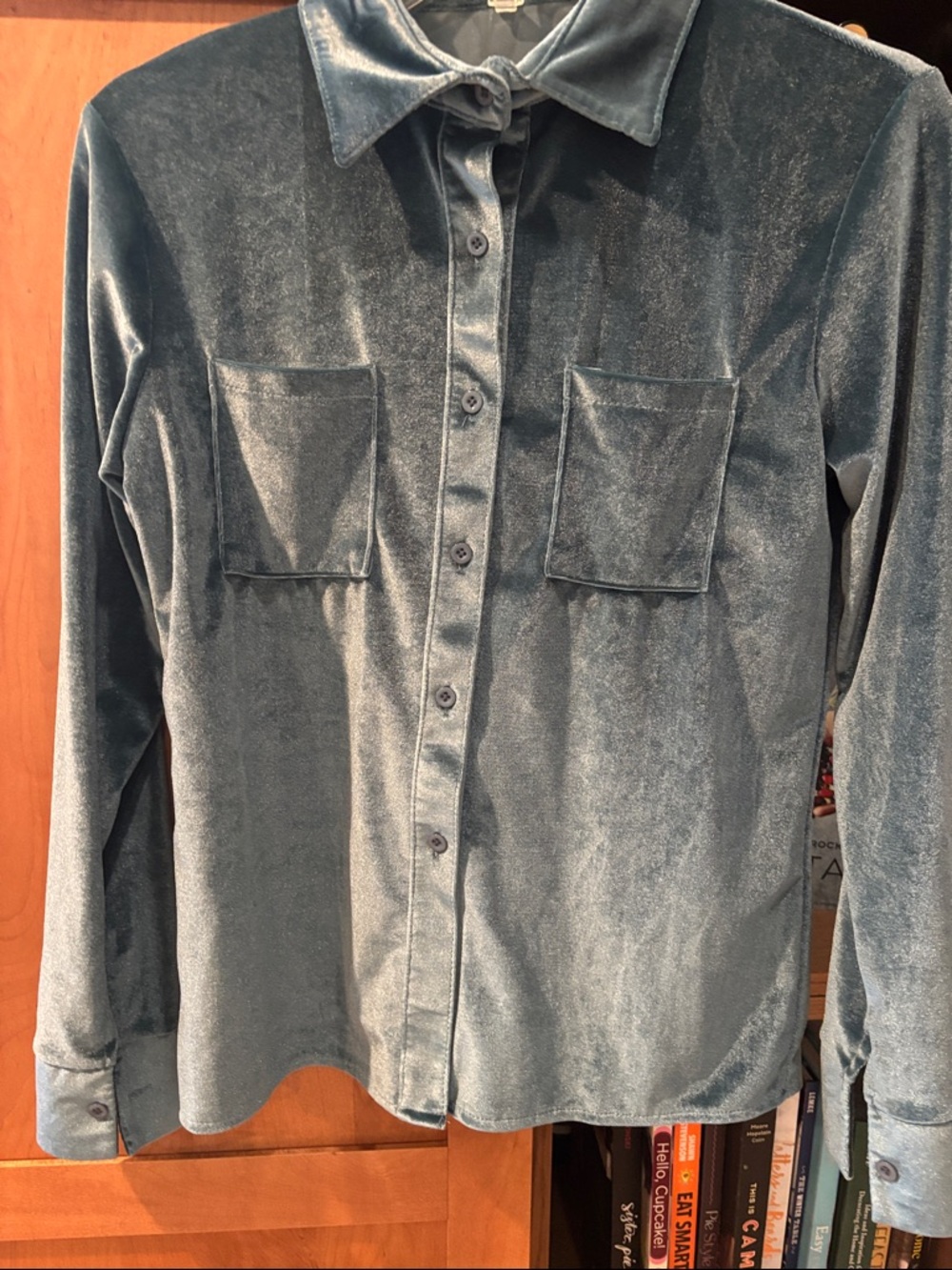 Velvet Button-Up Shirt in Dusty Teal
